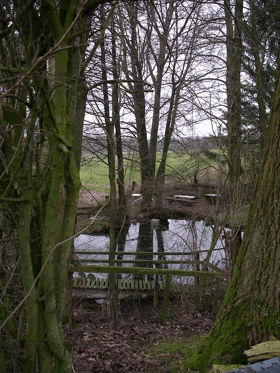 Teich zwischen Berg und Heide in Radevormwald (2008)