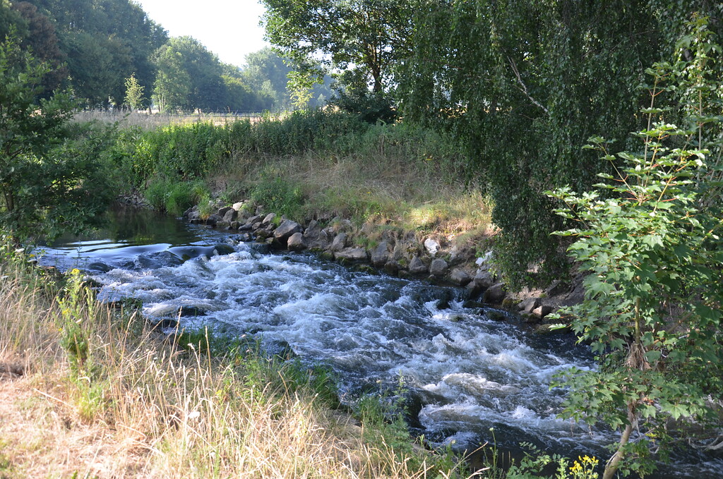 Biotopverbund Westwall - Flüsse als natürliche Barrieren  (2018)