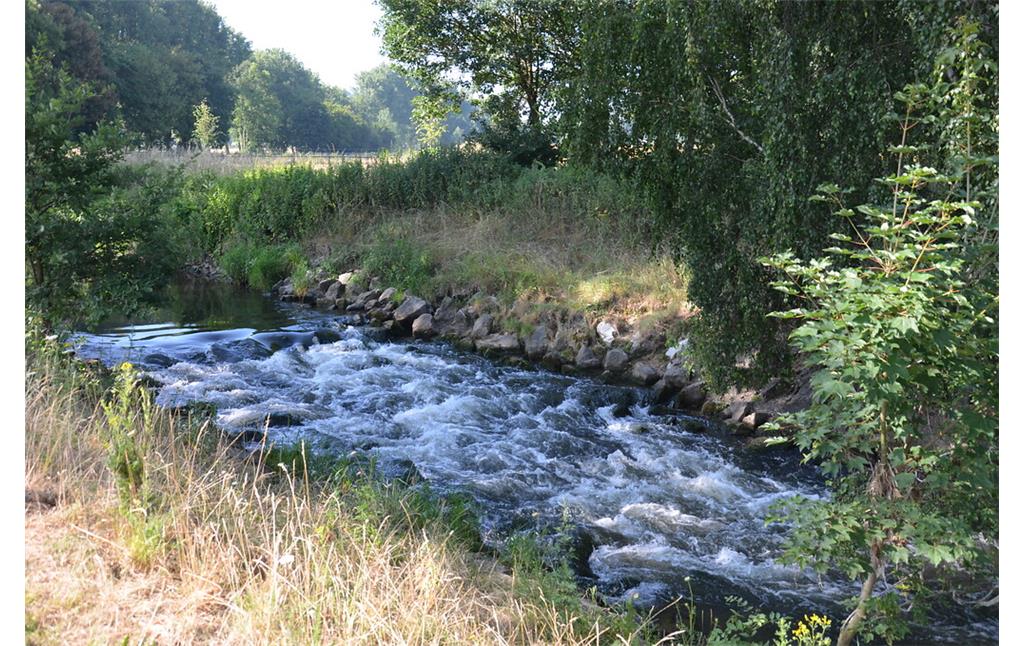 Biotopverbund Westwall - Flüsse als natürliche Barrieren  (2018)