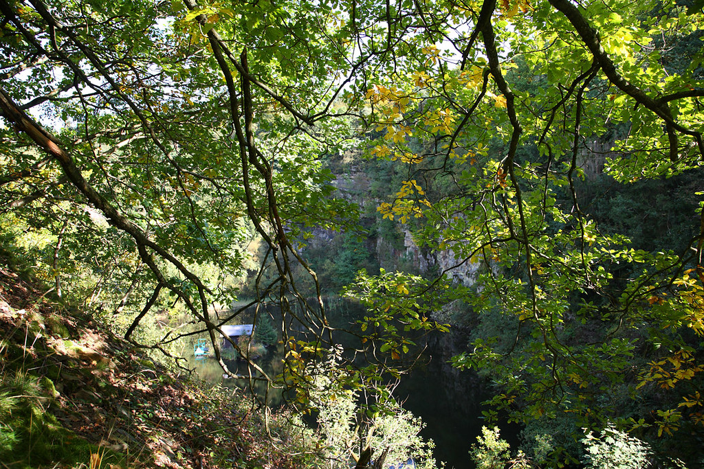 Abbaukante des Steinbruches westlich von Obernhagen (2009)