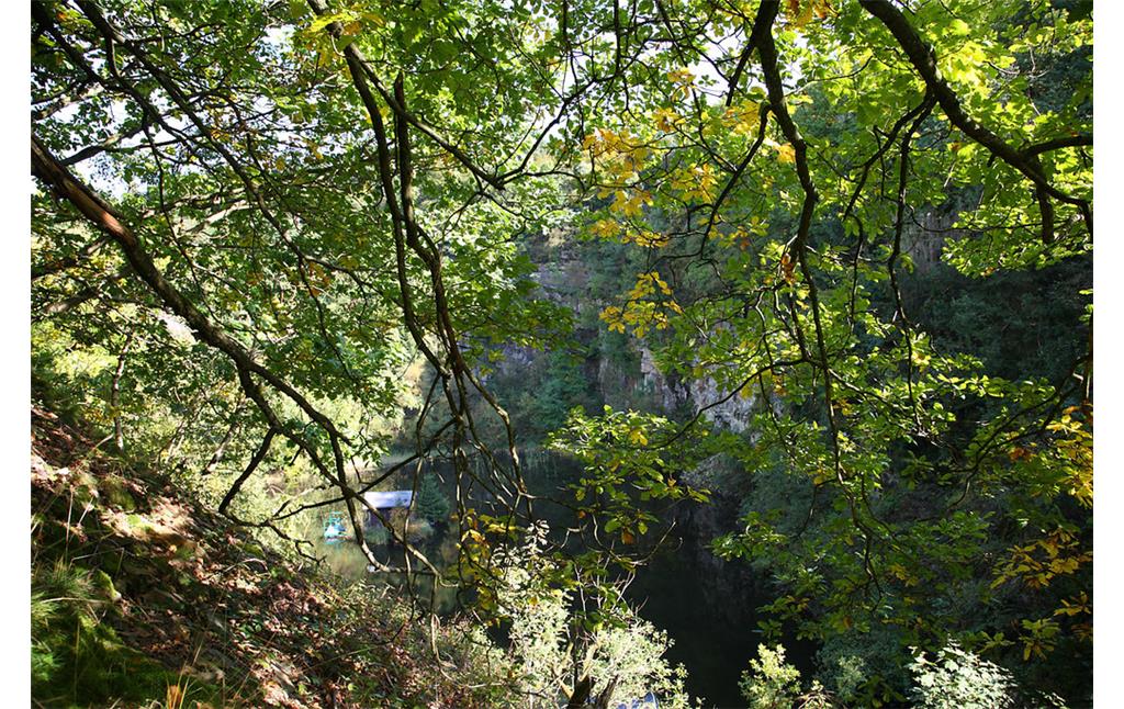 Abbaukante des Steinbruches westlich von Obernhagen (2009)