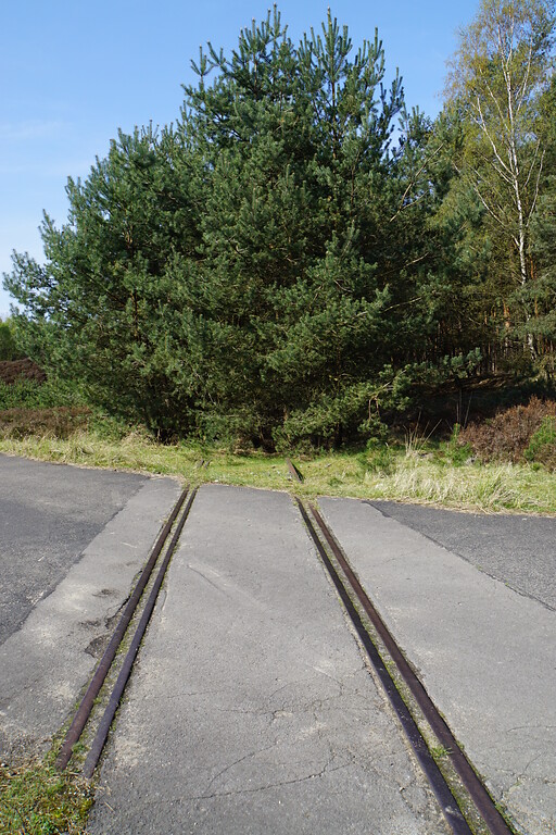 Reste der ehemaligen Gleisanlagen im Brachter Wald (2018)