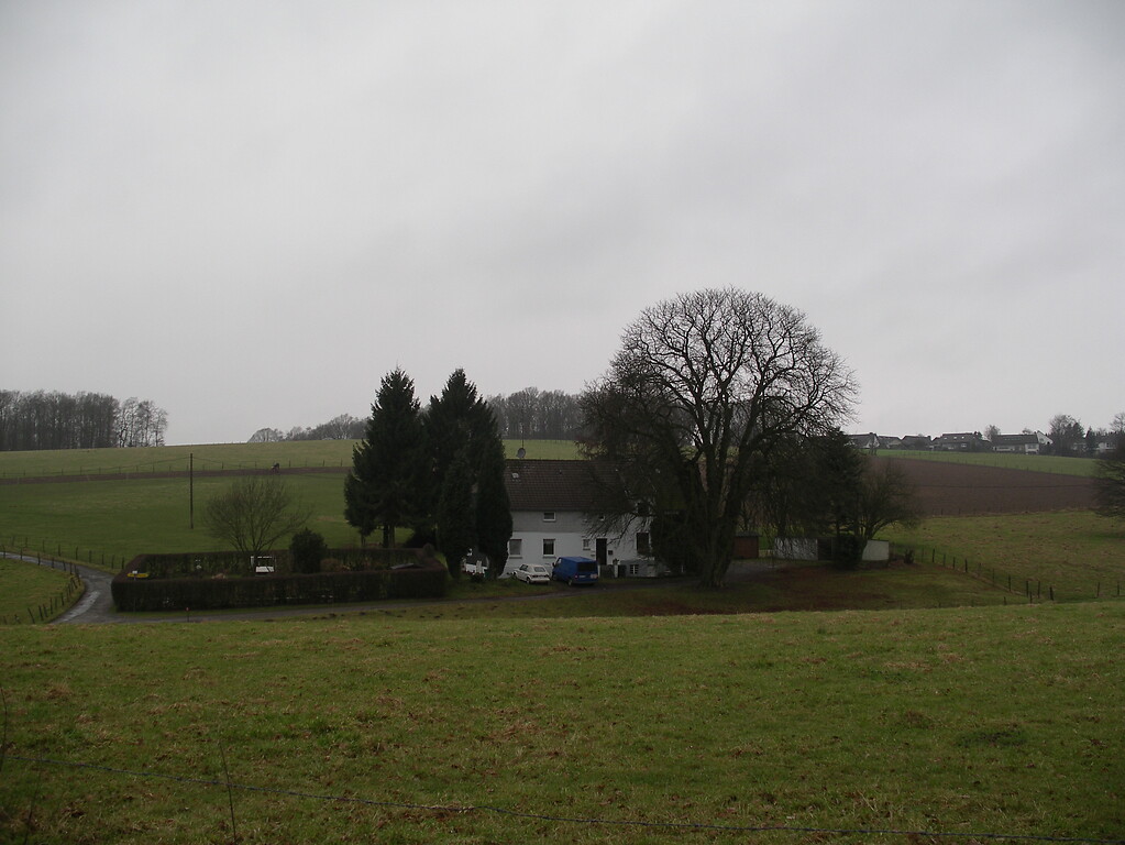 Zum Einzelhof Geilensiepen gehören als historische Elemente ein Bauerngarten sowie eine markante Kastanie als Hausbaum (2008)
