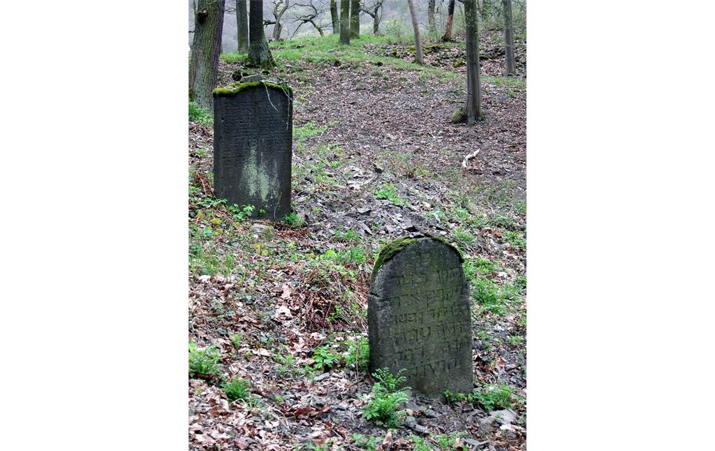 Grabsteine auf dem Alten Jüdischen Friedhof in Bad Breisig-Rheineck (2013)