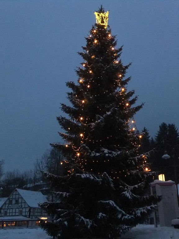 Weihnachtsbaum bei Engelskirchen-Loope (2010)
