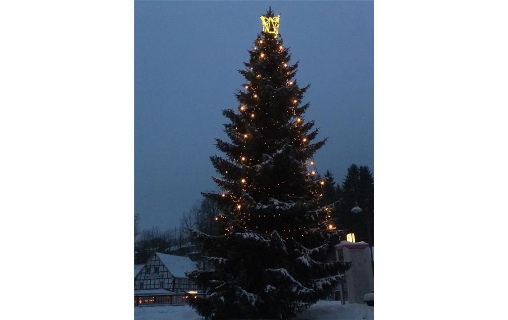 Weihnachtsbaum bei Engelskirchen-Loope (2010)
