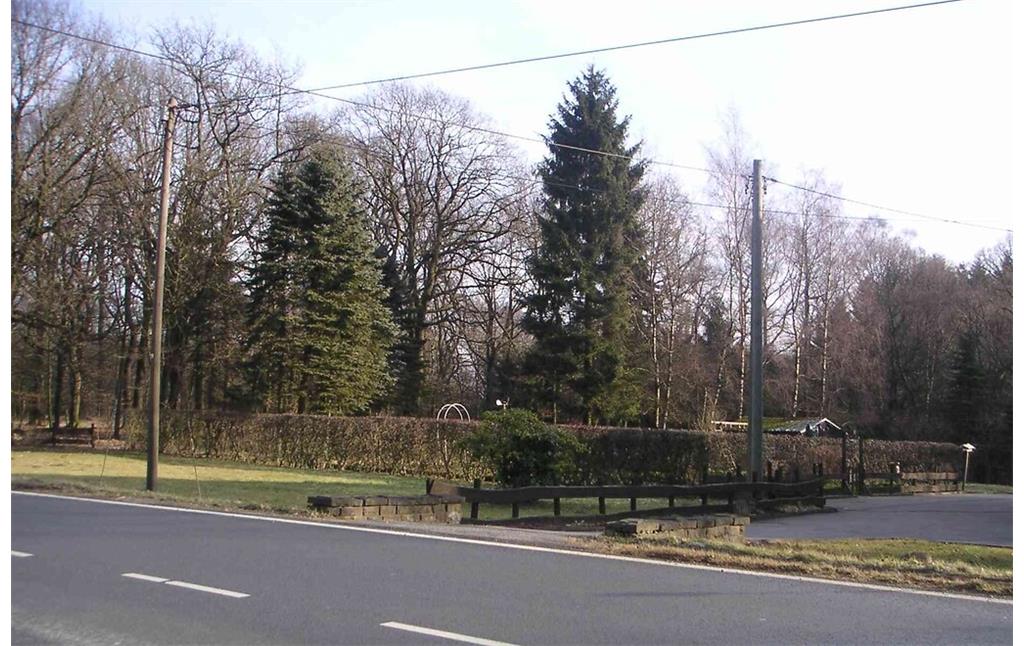 Bauerngarten mit Außenhecke und Buchsbaumunterteilung in Grüne (2008)