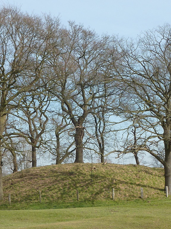 Altbaum auf einem Erdhügel in der Lippeaue 2018, umgeben von weiteren, im Kreis um den Hügel stehenden Bäumen