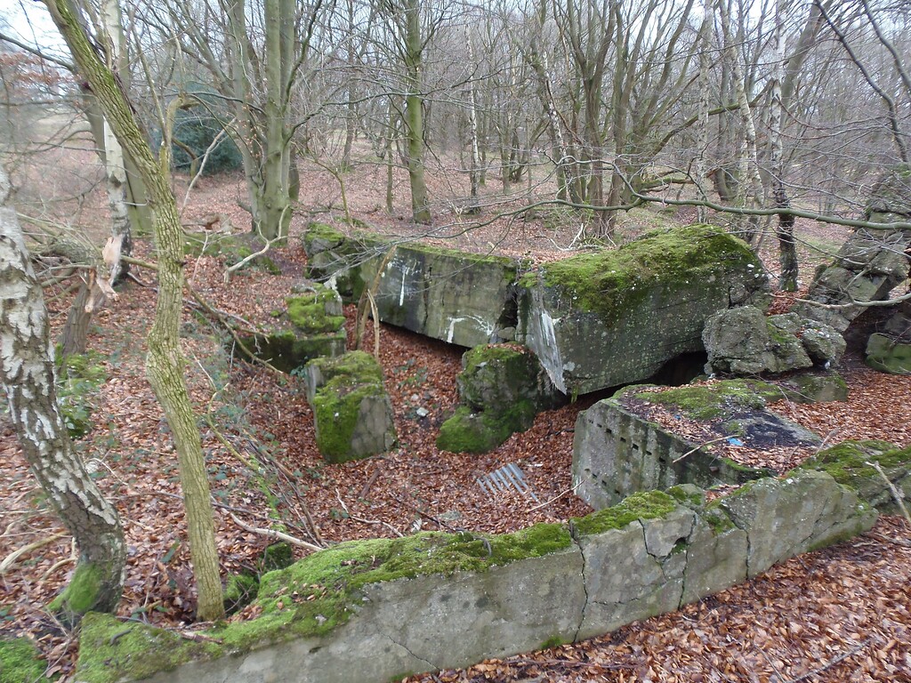 Reste von Bunkerruinen auf dem Standortübungsplatz Brander Wald zwischen Aachen-Brand und Stolberg-Münsterbusch, die Teil des sogenannten "Westwalls" waren (2018).