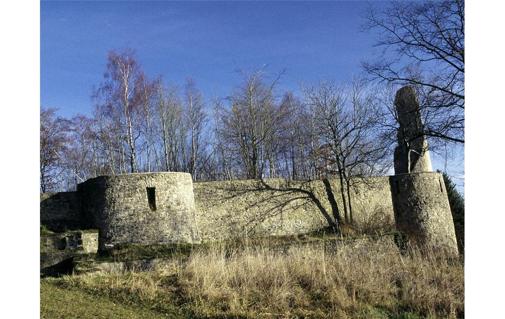 Burg Dollendorf (Schloss Dahl) in Dollendorf-Schlossthal (1997)