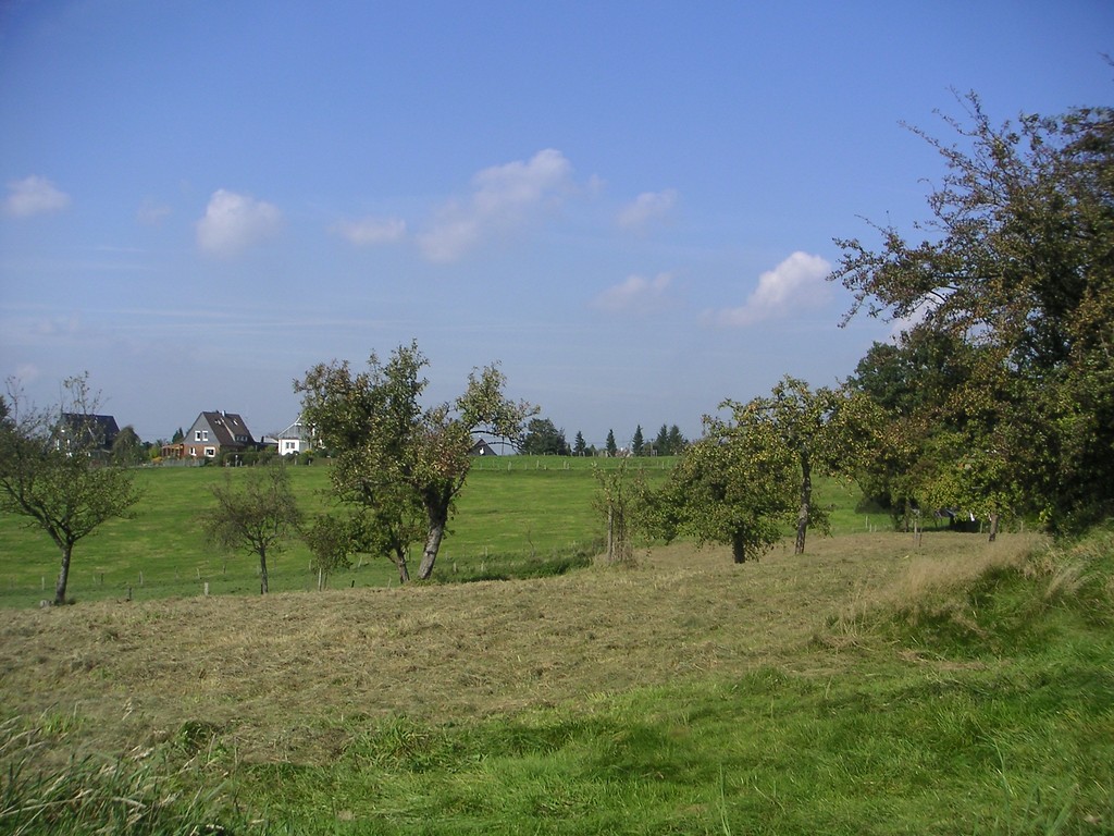 Obstwiese bei Westhofen (2007)