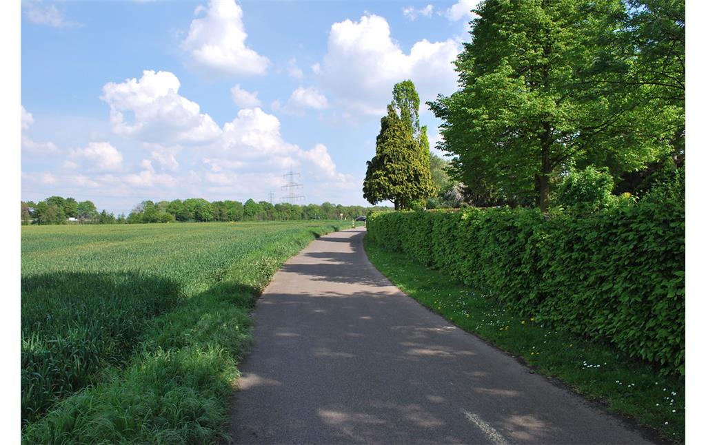 Im Bereich des Friedhofs ist der historische Ortsrand von Esch mit dem Übergang in die freie Agrarlandschaft erhalten geblieben. Das Bild zeigt die Blickrichtung Nord (2014).