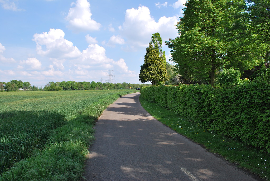 Im Bereich des Friedhofs ist der historische Ortsrand von Esch mit dem Übergang in die freie Agrarlandschaft erhalten geblieben. Das Bild zeigt die Blickrichtung Nord (2014).