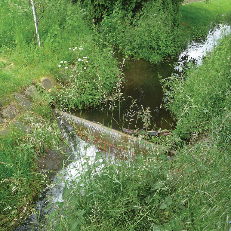 Abbildung 2: Stauvorrichtung am Pulheimer Bach für die Versorgung des Wassergrabens am Fronhof (2009)