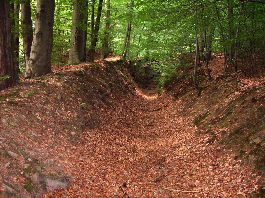 Zufahrt zum Steinbruch in Gimborn (2009)