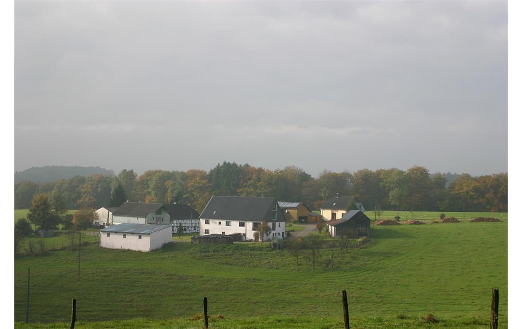 Weiler Rautzenberg mit Obstwiese von Norden (2007)