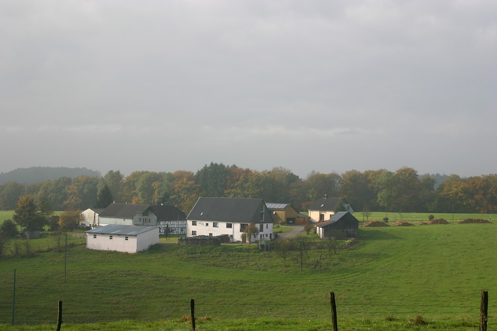 Weiler Rautzenberg mit Obstwiese von Norden (2007)