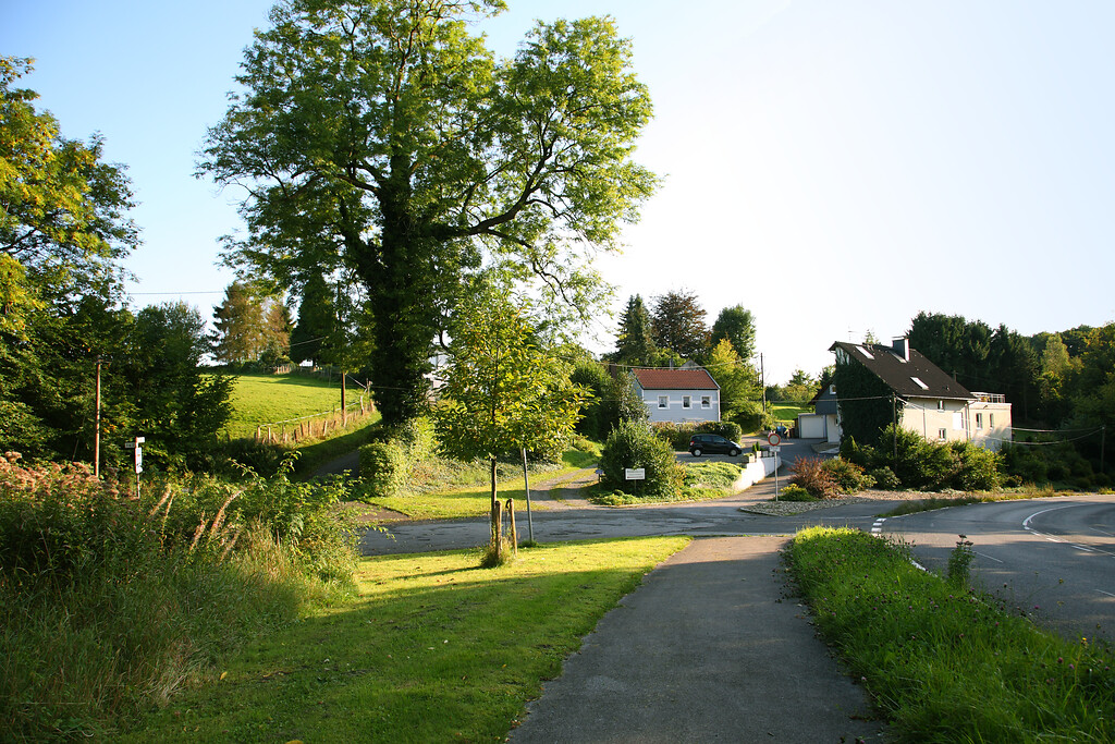 Blick auf den südwestlichen Teil des Weilers Niedernfeld  (2008)