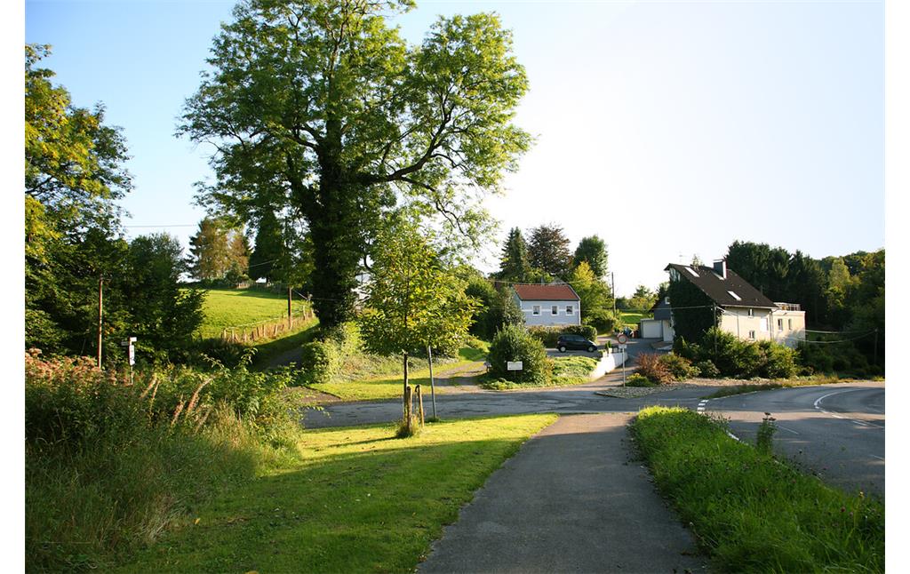 Blick auf den südwestlichen Teil des Weilers Niedernfeld  (2008)