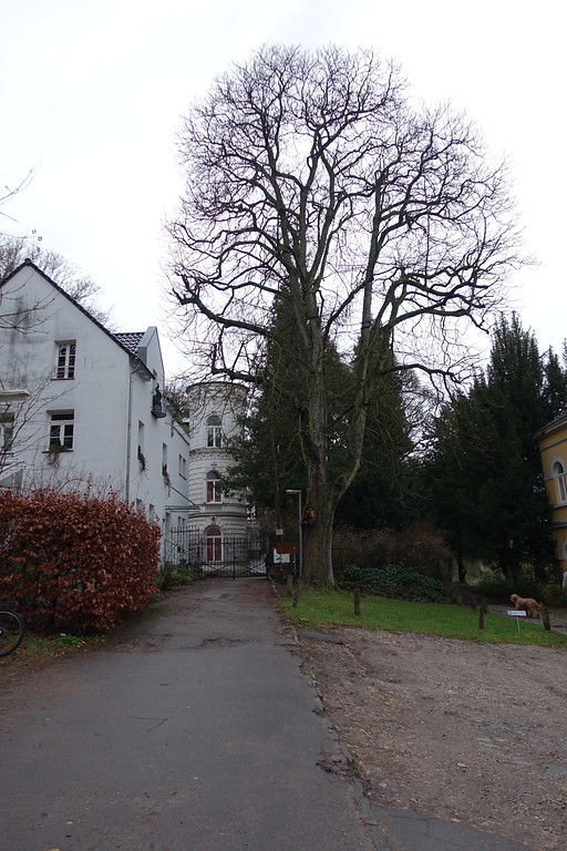 Hochgrundhaus (2015)