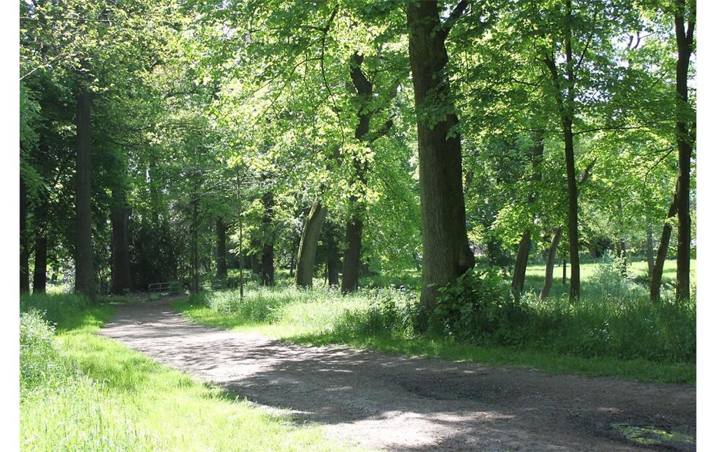 Weg im Park Bruckhausen zwischen Waldbereich und Wiese (2017).