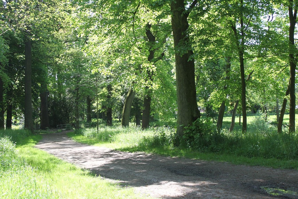 Weg im Park Bruckhausen zwischen Waldbereich und Wiese (2017).
