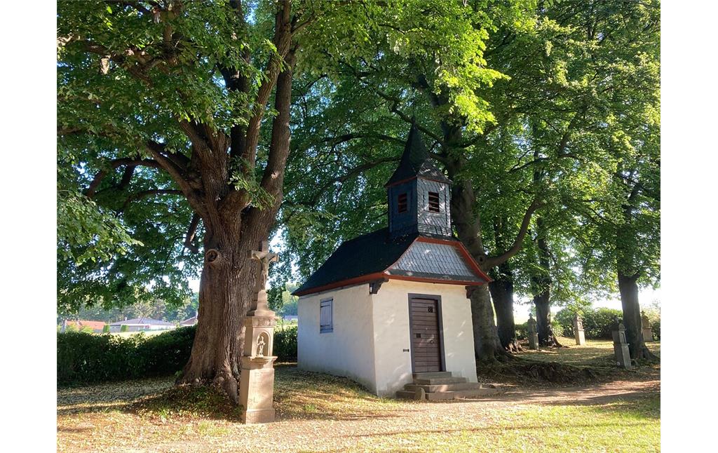 Naturdenkmal Baumgruppe an der St. Jakobus-Kapelle in Spitze (2020)