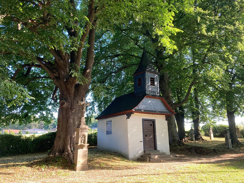 Naturdenkmal Baumgruppe an der St. Jakobus-Kapelle in Spitze (2020)