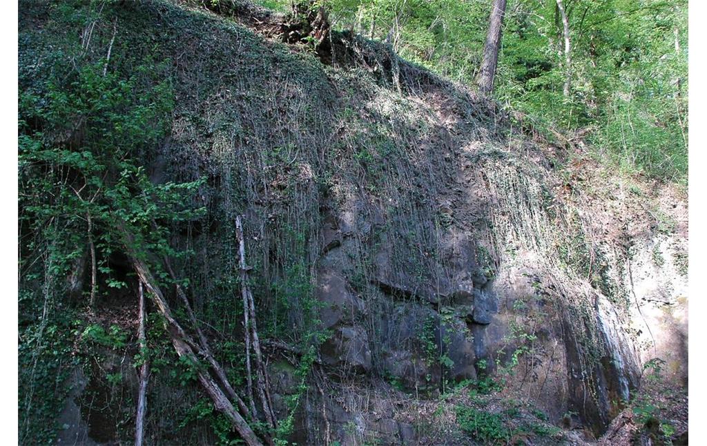 Felswand aus Grauwacke, Ründeroth (2008)