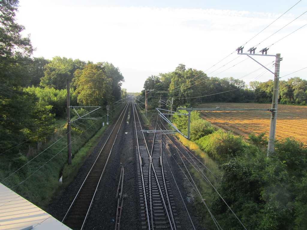 Trasse der Nord-Süd-Kohlenbahn bei Frechen (2014)