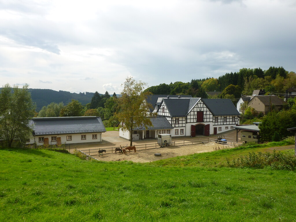 Blick auf den Hasenbergshof in Kronenburg (2014)
