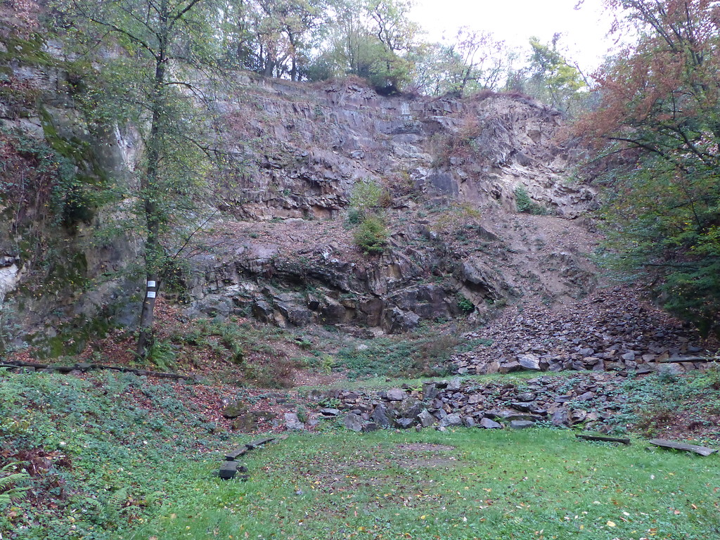 Blick in den Steinbruch bei Wietsche im Murbachtal (2018)