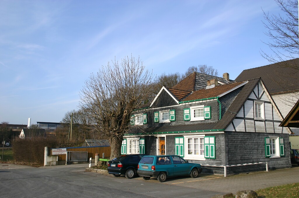 Historisches Wohngebäude mit Landwirtschaftsbetrieb und Hausbaum in Grüne (2008)