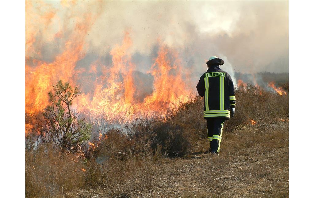 Feuereinsatz in der Drover Heide (2007)