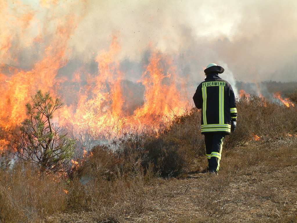 Feuereinsatz in der Drover Heide (2007)