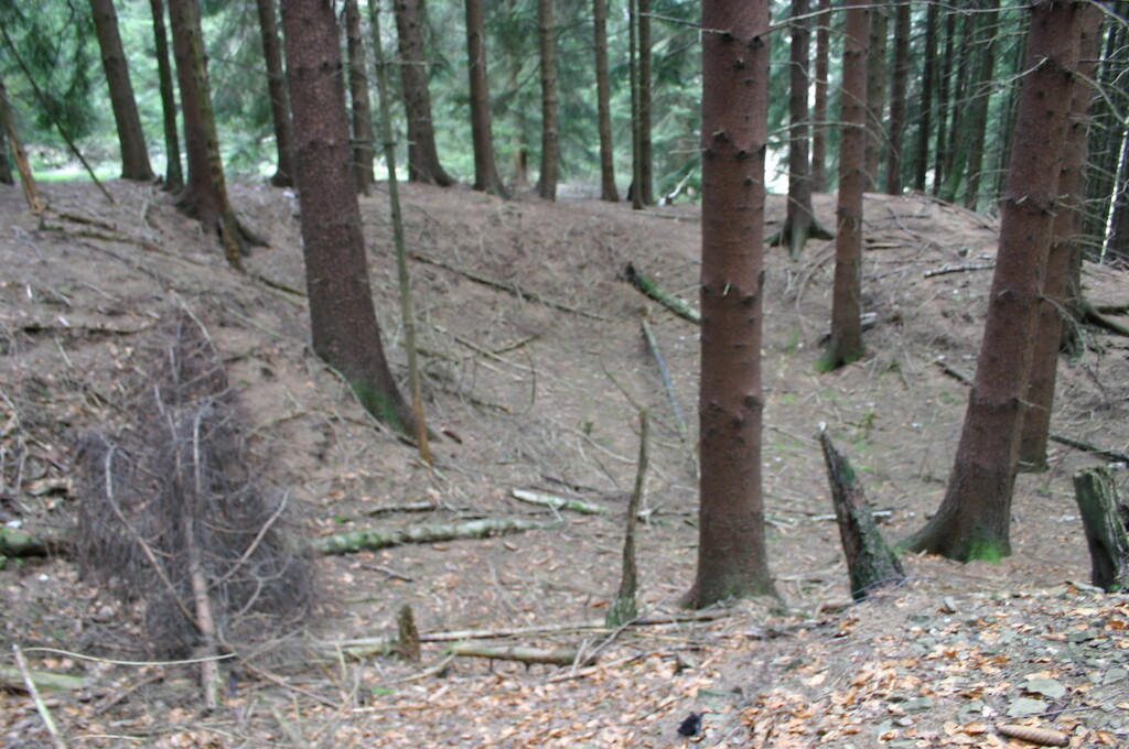 Gruben im Wald am Röthlingsberg (2008)