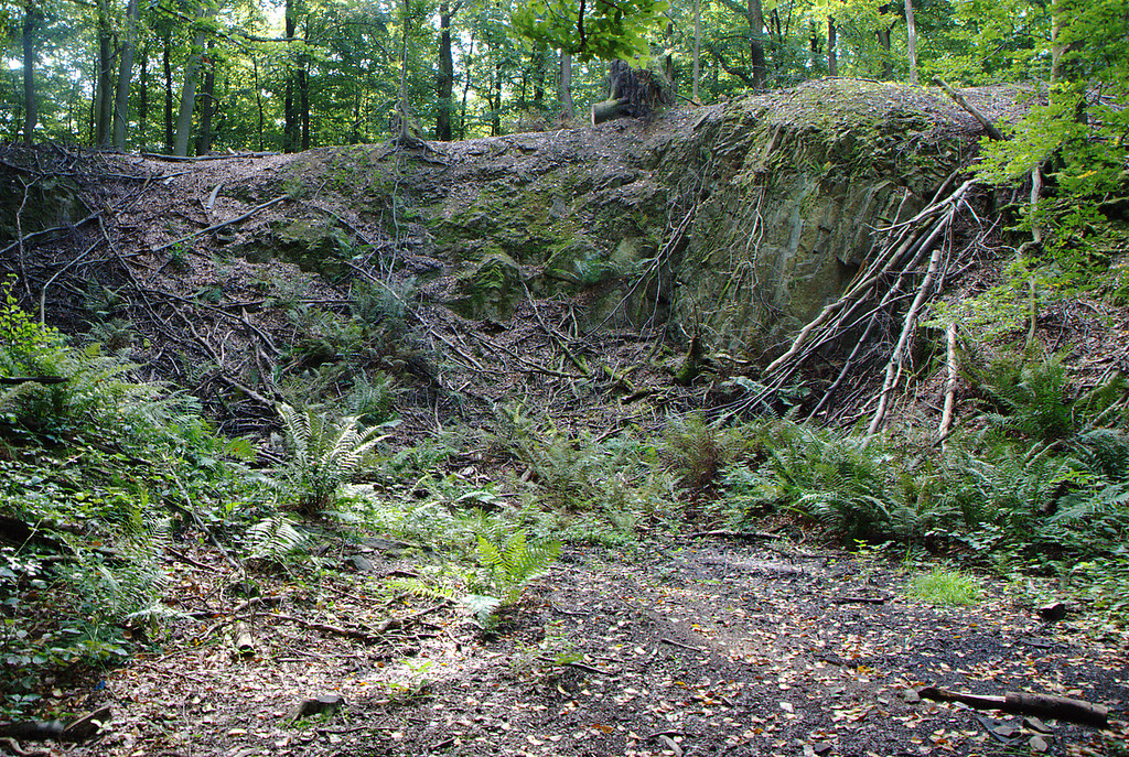 Steinbruch bei Großeichen (2008)