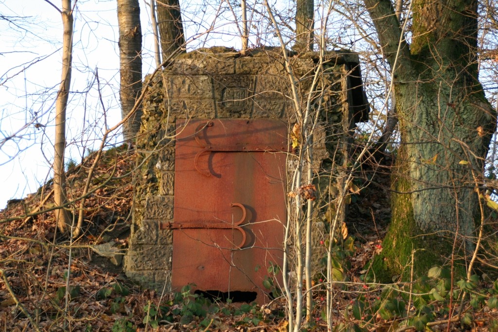 Pumpenhäuschen der ehemaligen Wasserversorgung von Morsbach Hülstert (2013)