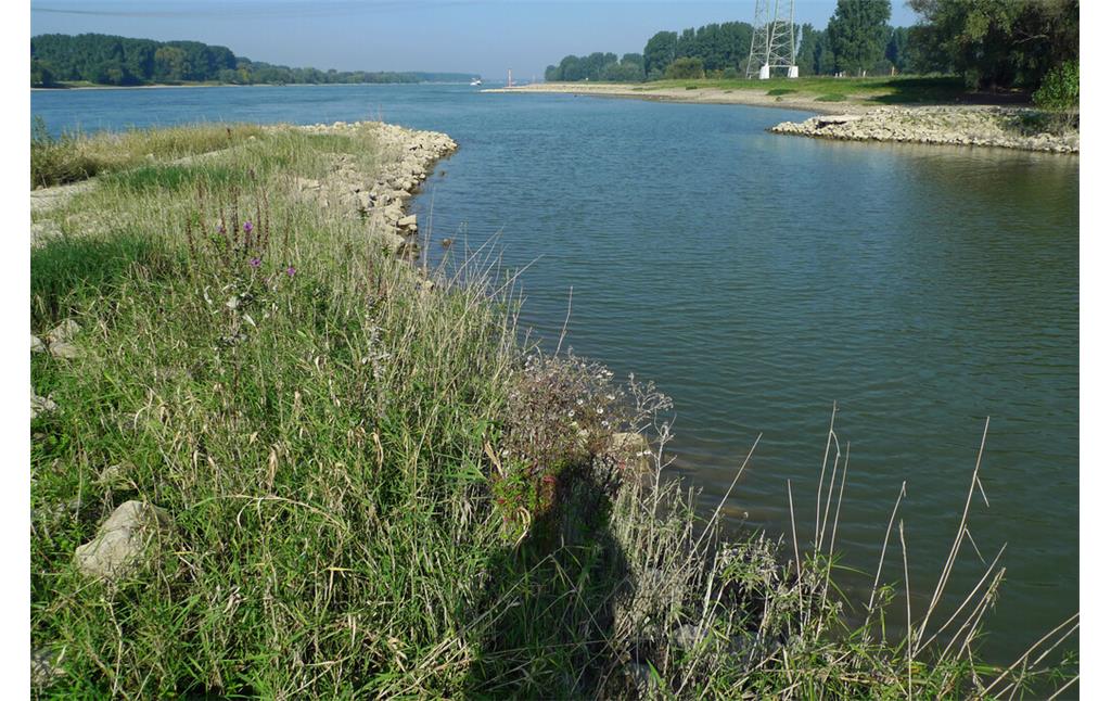 Wuppermündung in den Rhein in Leverkusen (2014)