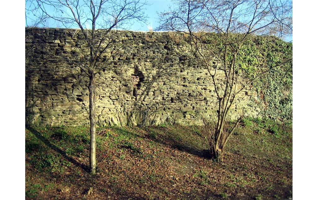 Reste der Stadtmauer Sinzig im Bereich der Harbachstraße  (2006)