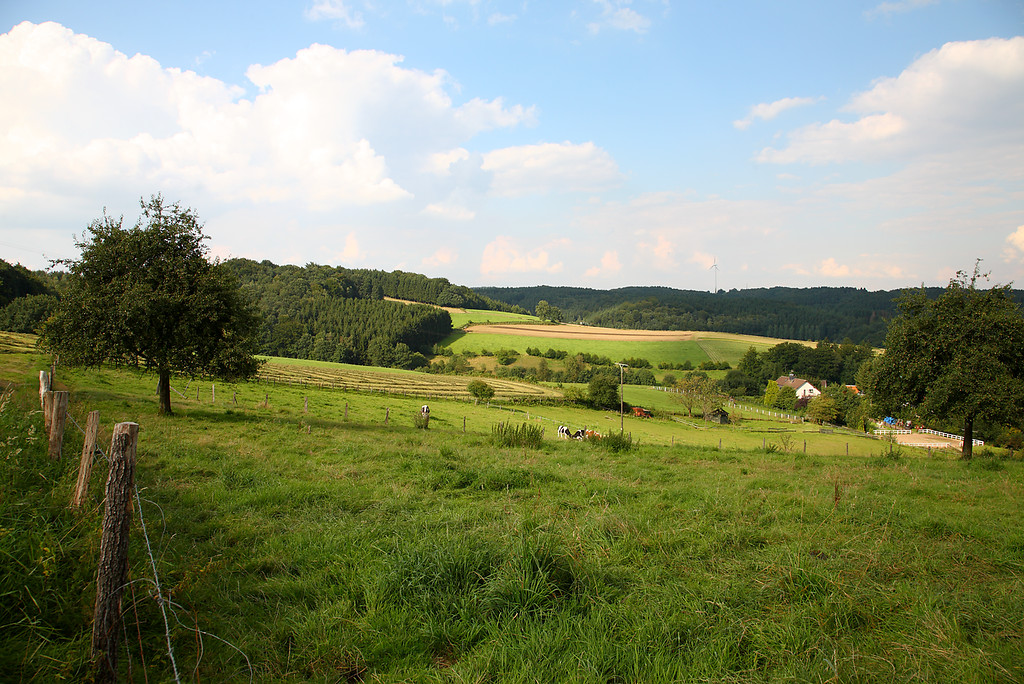 Landschaft bei Wickesberg (2008)