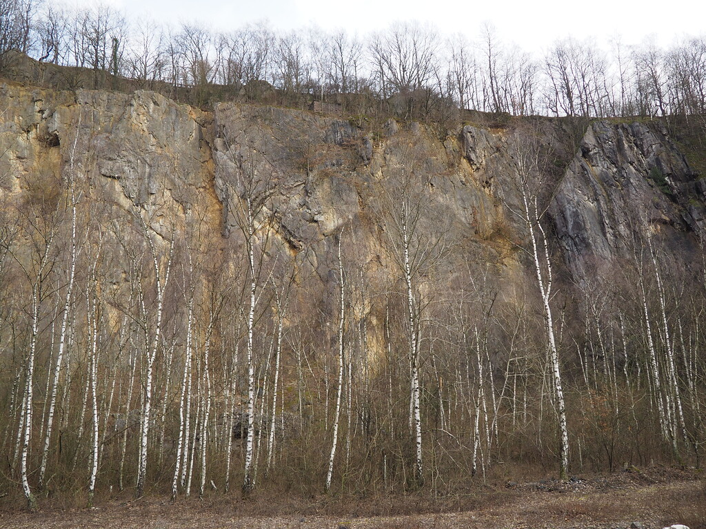 Klettersektor Lehmriss am Ostrand des Bochmer Bruchs (2021)