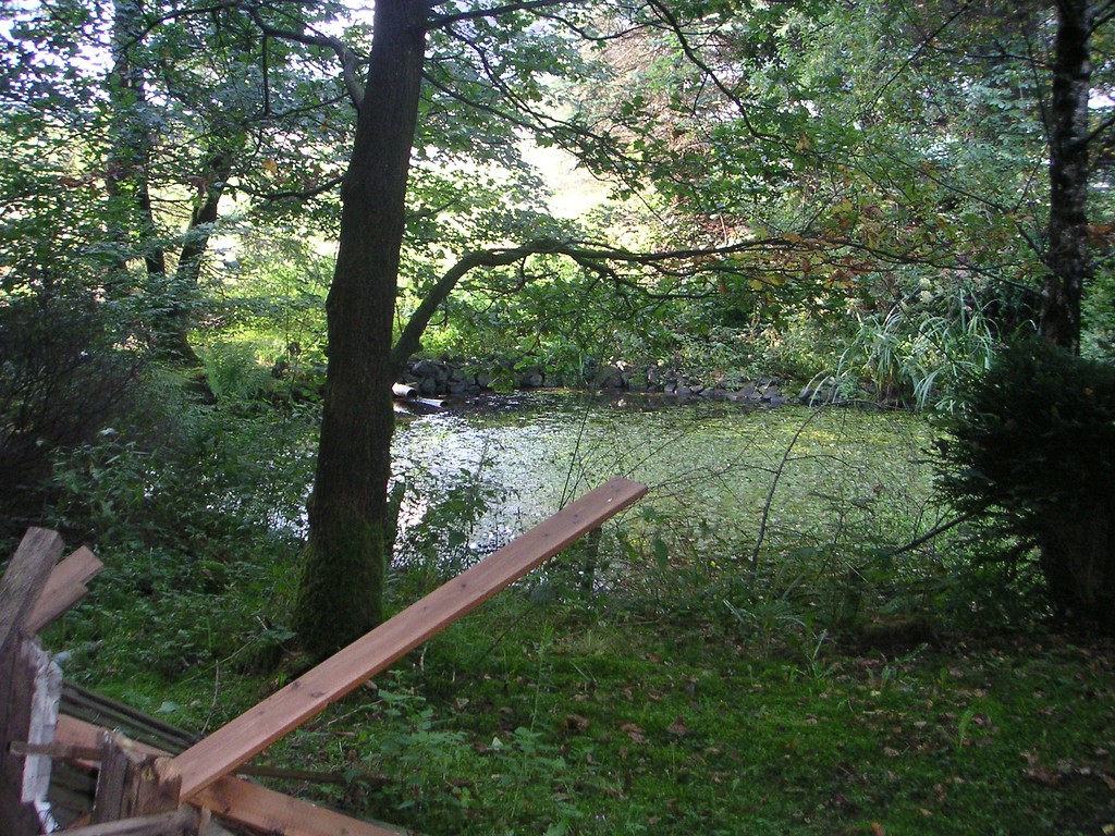 Teich auf historischem Standort in  Oberwinterhagen (2007)