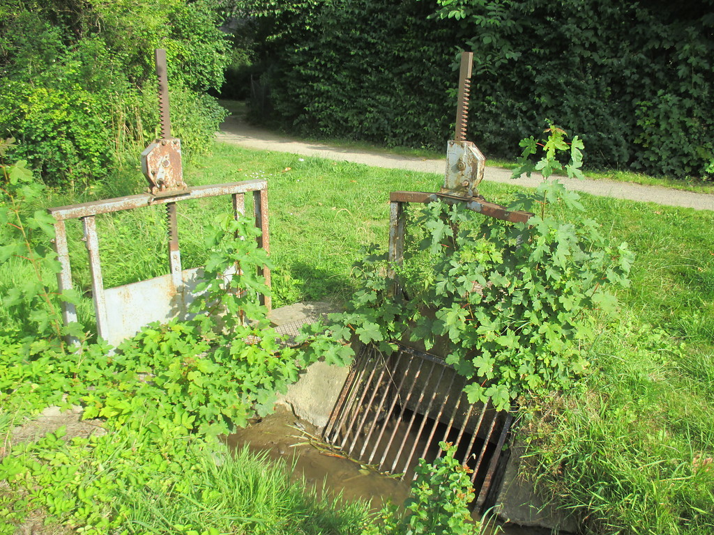 Graben mit Wehr neben der Wasserburg Birgel (2015)