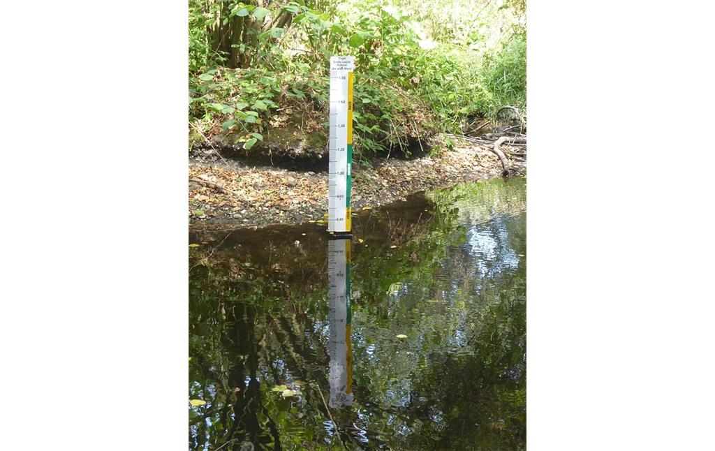 Abbildung 13: Lattenpegel 50 cm am Hochwasserentlastungsgraben Große Laache (2019)