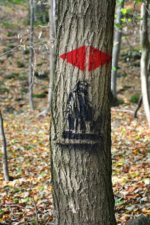 Baummarkierungen: Die roten Pfeile markieren den Petersberger Bittweg (2018).