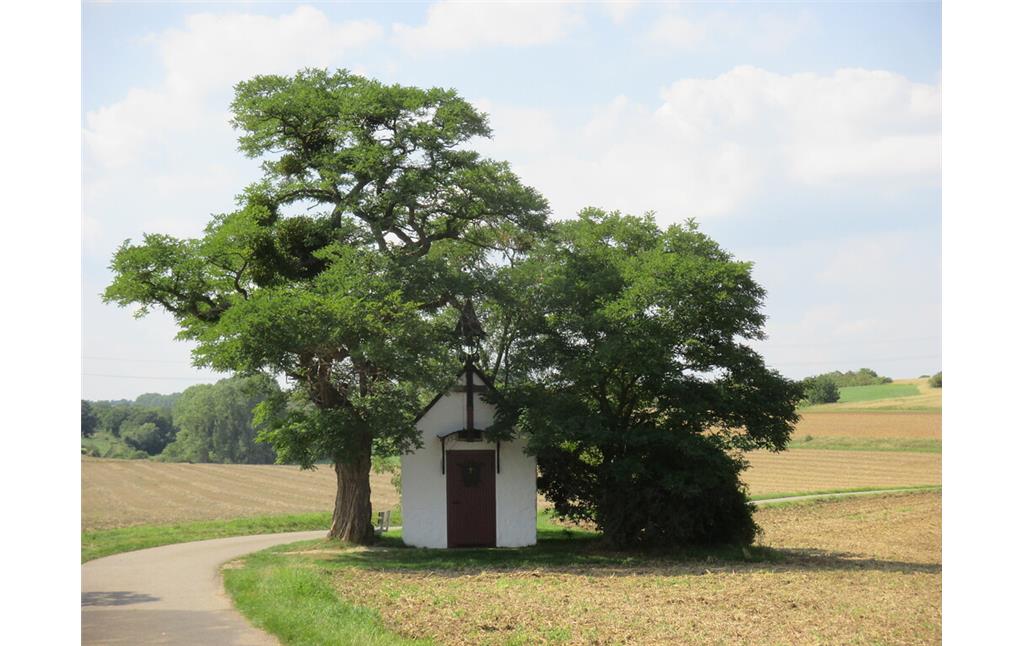 Die St.-Antoniuskapelle Embken steht oberhalb der Neffelbachaue in der Feldflur unter einem großen Baum. (2015)