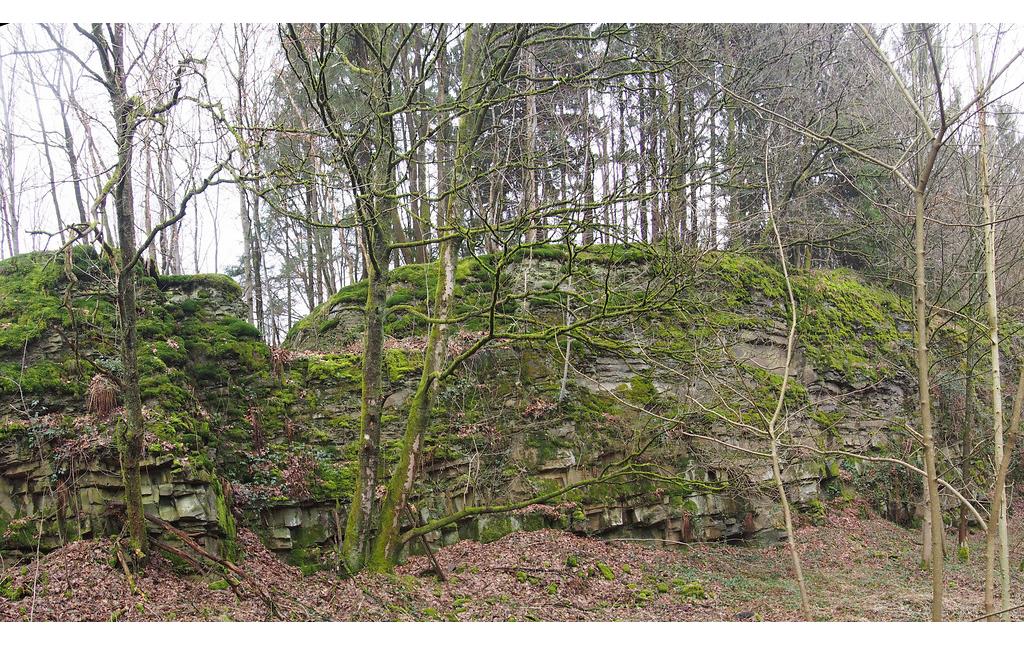 Steinbruch Unterlichtinghagen 1: Durch die schmalen Breschen in der oberen Bruchwand wurde der Abraum mit Gleisen seitlich auf die Halden verbracht. (2018)