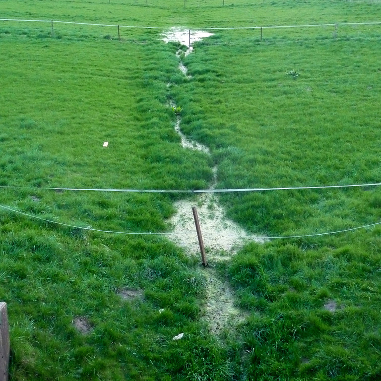 Abbildung 7: Grundwasseraustritt in der Talsperre (2009)