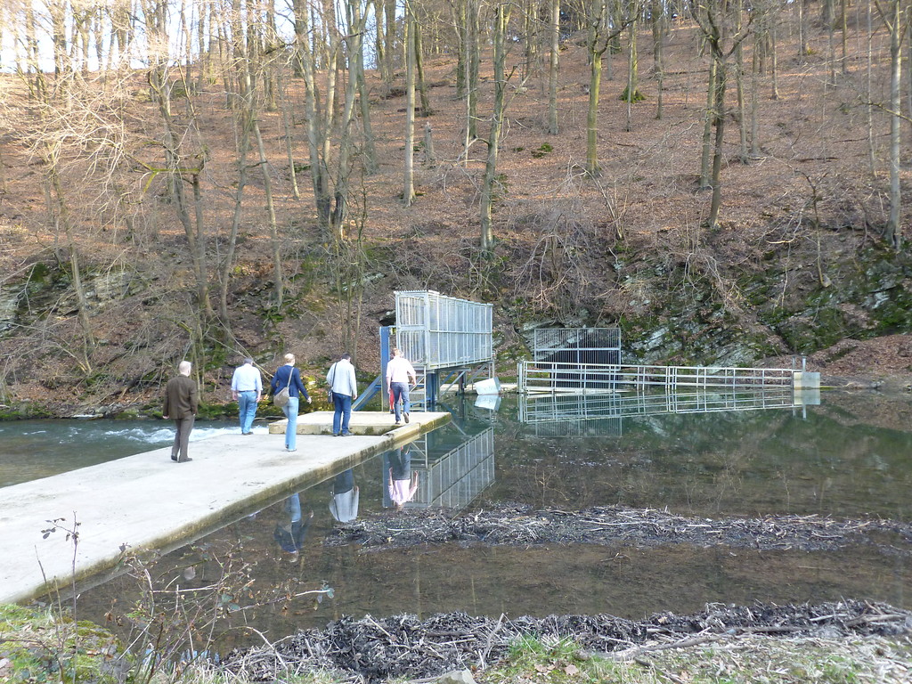 Die Wehranlage staut das Wasser der Sülz vor dem Stolleneingang (2012)